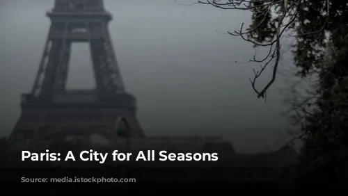 Paris: A City for All Seasons