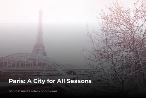 Paris: A City for All Seasons