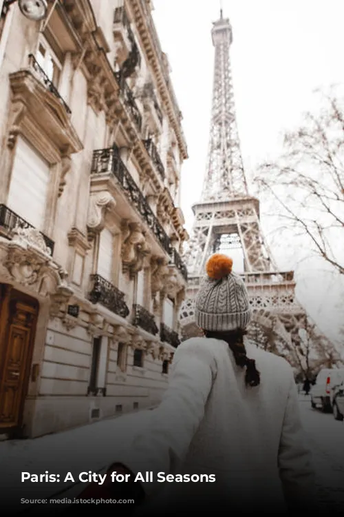 Paris: A City for All Seasons