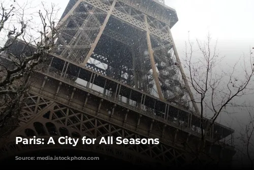 Paris: A City for All Seasons