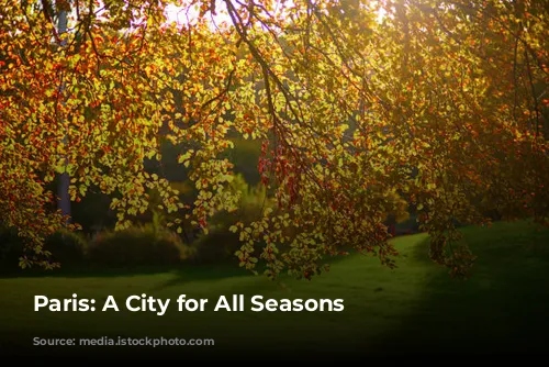 Paris: A City for All Seasons