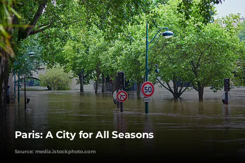 Paris: A City for All Seasons