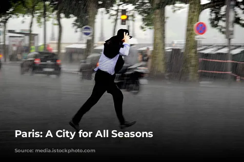 Paris: A City for All Seasons