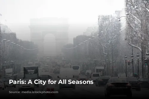 Paris: A City for All Seasons