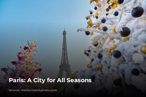 Paris: A City for All Seasons