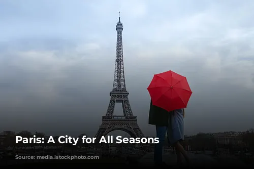 Paris: A City for All Seasons