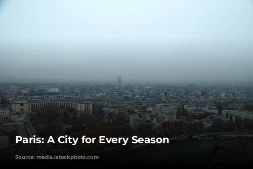 Paris: A City for Every Season