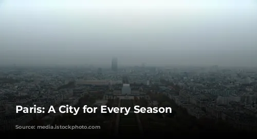 Paris: A City for Every Season