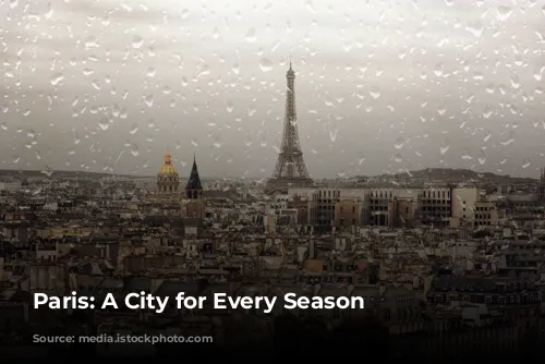 Paris: A City for Every Season