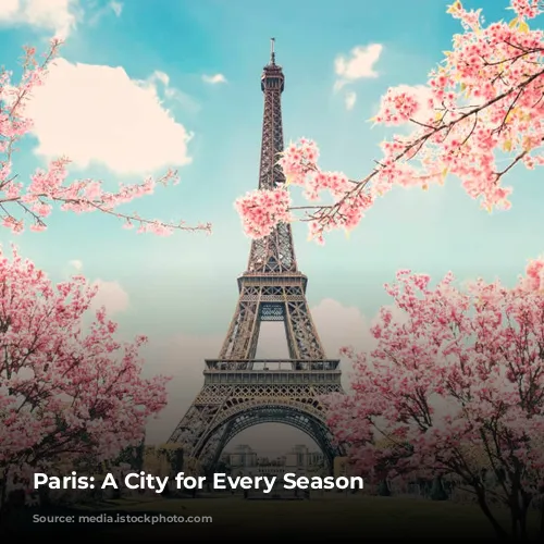 Paris: A City for Every Season