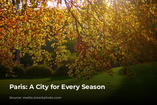 Paris: A City for Every Season