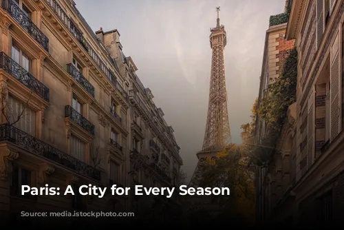 Paris: A City for Every Season