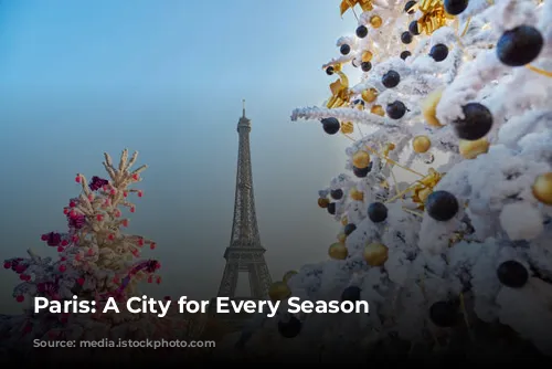 Paris: A City for Every Season