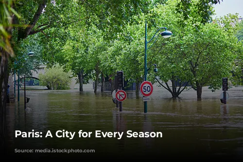 Paris: A City for Every Season