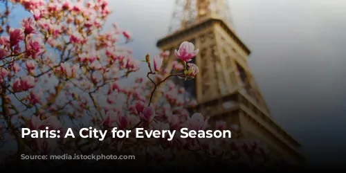 Paris: A City for Every Season