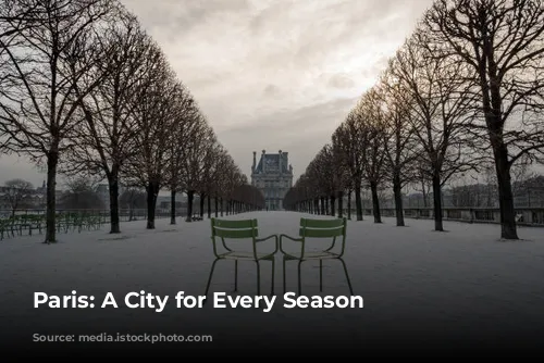 Paris: A City for Every Season