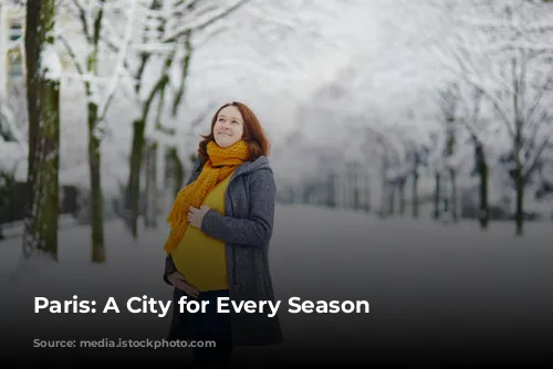 Paris: A City for Every Season