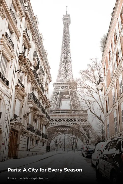 Paris: A City for Every Season