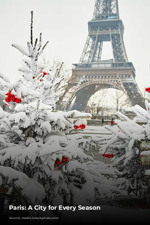 Paris: A City for Every Season