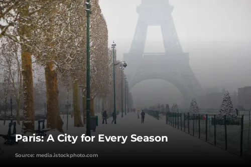 Paris: A City for Every Season