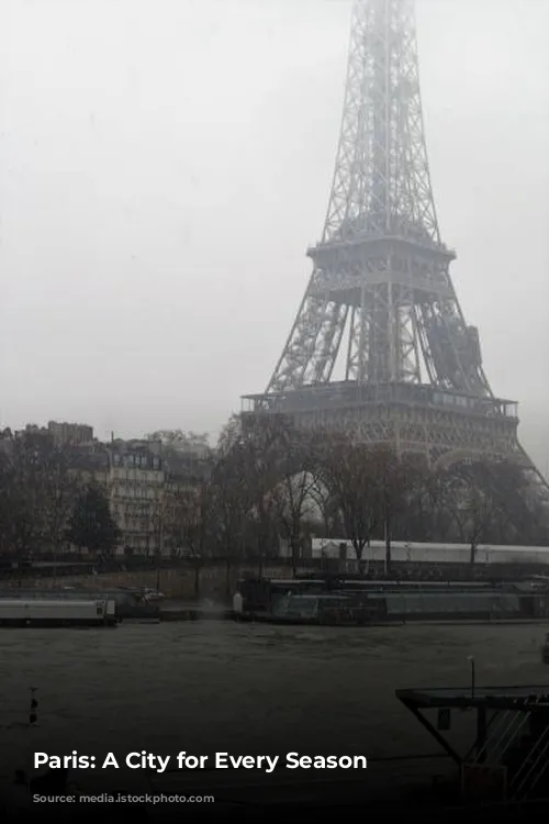 Paris: A City for Every Season