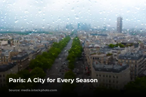 Paris: A City for Every Season