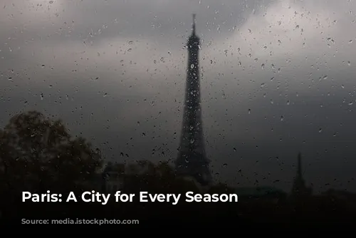 Paris: A City for Every Season