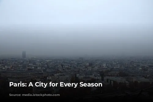 Paris: A City for Every Season