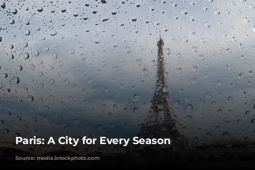 Paris: A City for Every Season