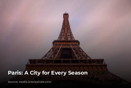 Paris: A City for Every Season