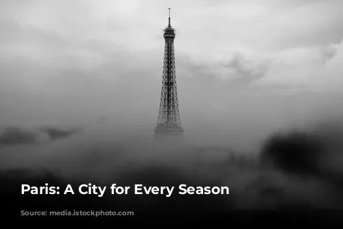 Paris: A City for Every Season