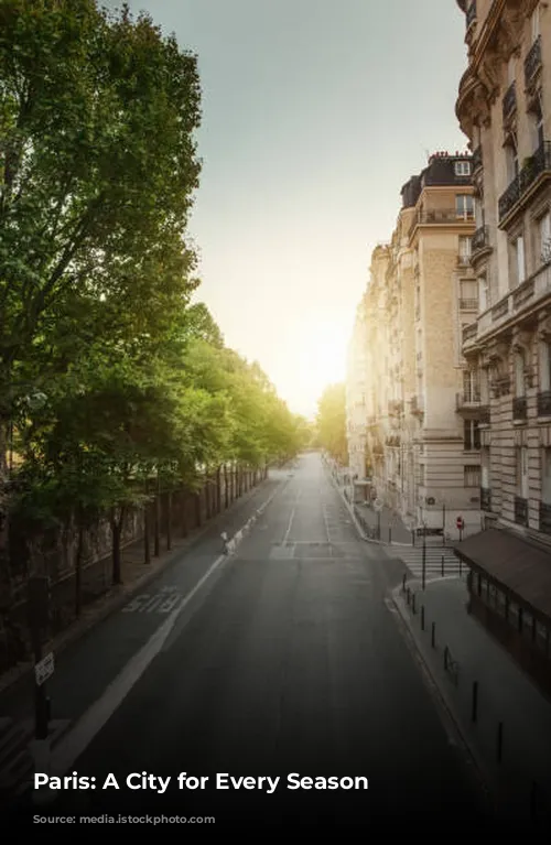 Paris: A City for Every Season