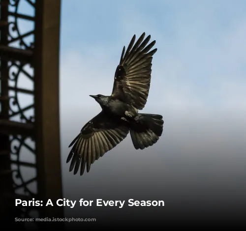 Paris: A City for Every Season