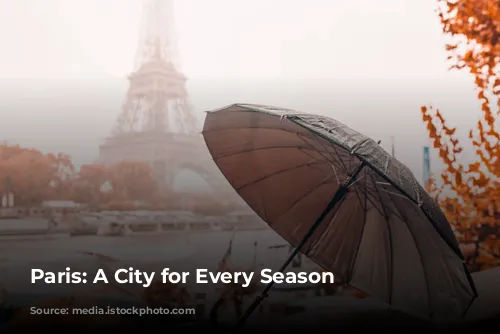 Paris: A City for Every Season