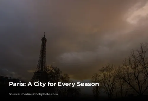 Paris: A City for Every Season