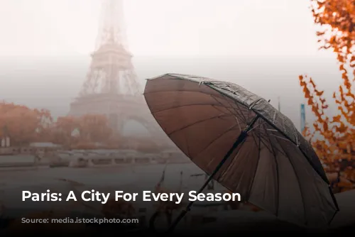 Paris: A City For Every Season