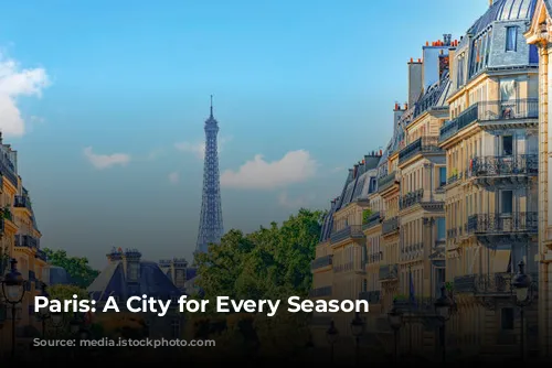 Paris: A City for Every Season