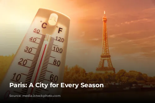 Paris: A City for Every Season