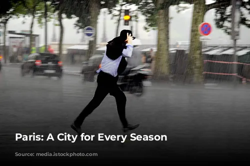 Paris: A City for Every Season