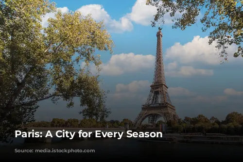 Paris: A City for Every Season