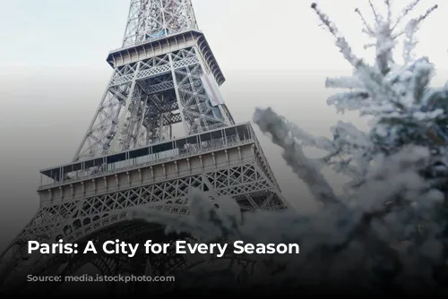 Paris: A City for Every Season