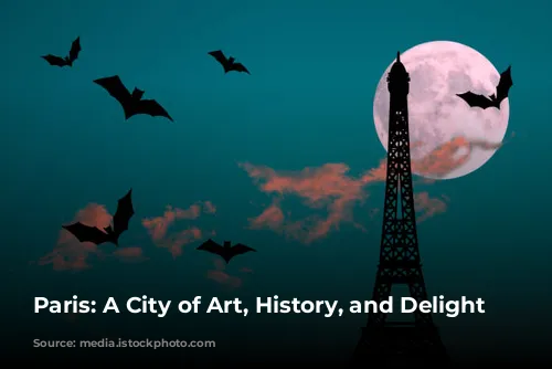 Paris: A City of Art, History, and Delight