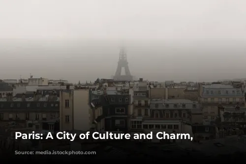 Paris: A City of Culture and Charm, Year-Round