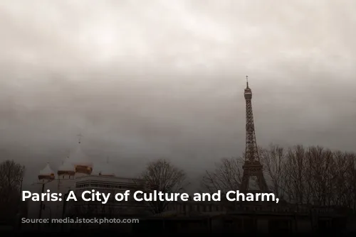 Paris: A City of Culture and Charm, Year-Round