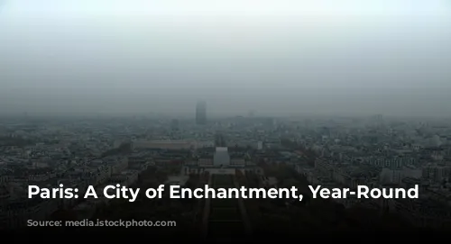 Paris: A City of Enchantment, Year-Round