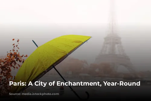 Paris: A City of Enchantment, Year-Round