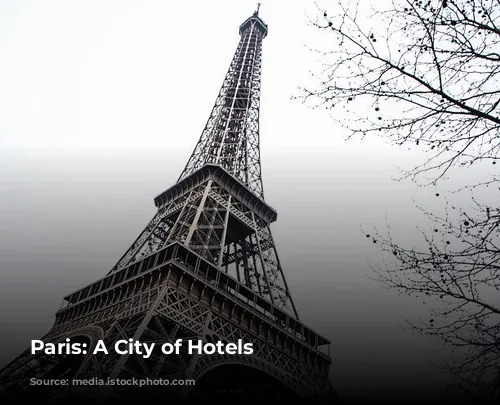 Paris: A City of Hotels