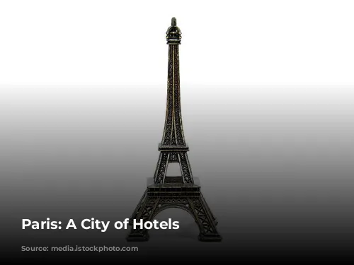 Paris: A City of Hotels