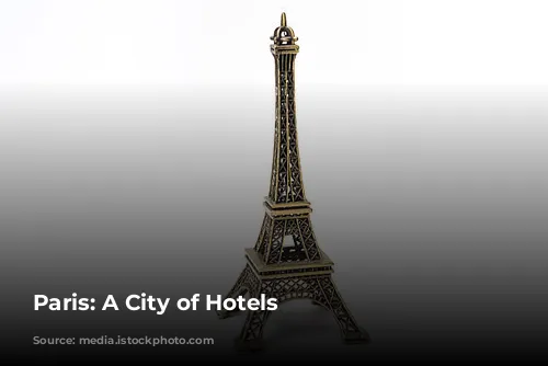 Paris: A City of Hotels