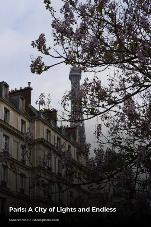 Paris: A City of Lights and Endless Charm